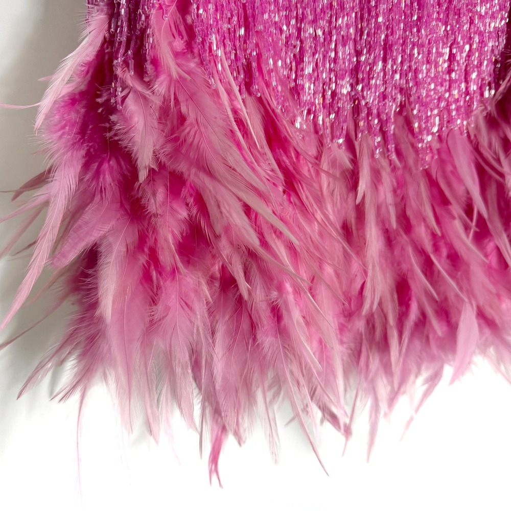 Nadine Merabi Sara Mini Skirt Pink Beaded Fringe Feather Trim Women Sz S/M - Picture 7 of 12